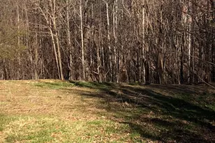 453 Grandview Peaks Dr, Nebo, NC 28761 - Photo 14