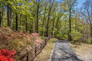 2825 River Rd, Columbus, NC 28722 - Photo 34