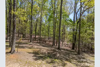 2825 River Road, Columbus, NC 28722 - Photo 40