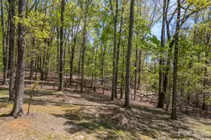 2825 River Rd, Columbus, NC 28722 - Photo 40