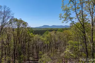 2825 River Rd, Columbus, NC 28722 - Photo 1