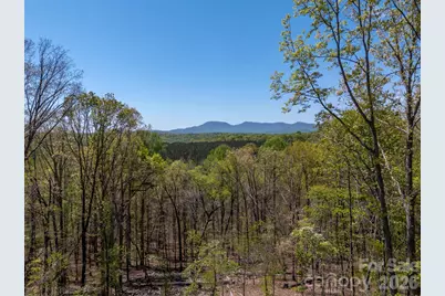 2825 River Road, Columbus, NC 28722 - Photo 2