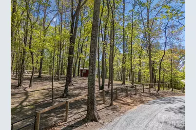 2825 River Road, Columbus, NC 28722 - Photo 46