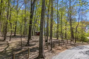 2825 River Rd, Columbus, NC 28722 - Photo 46