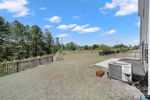 652 Citriadora St, Fort Mill, SC 29715 - Photo 32