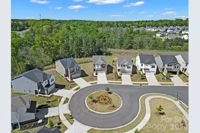 652 Citriadora Street, Fort Mill, SC 29715 - Photo 4