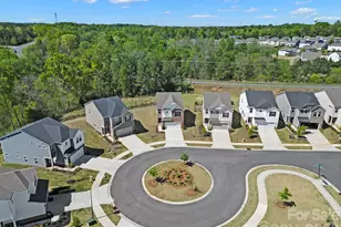 652 Citriadora St, Fort Mill, SC 29715 - Photo 4