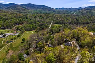 144 Hilltop Rd, Black Mountain, NC 28711 - Photo 46