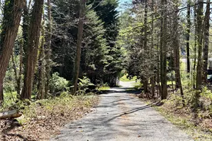 20 White Squirrel Ln, Hendersonville, NC 28739 - Photo 28