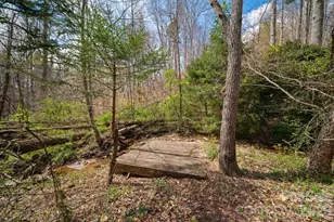 104 Black Hawk Rdg, Weaverville, NC 28787 - Photo 32