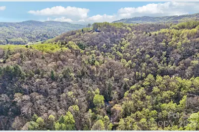 1115 Kilpatrick Road, Hendersonville, NC 28739 - Photo 46