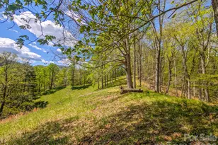 572 Pleasant Valley Rd, Burnsville, NC 28714 - Photo 44