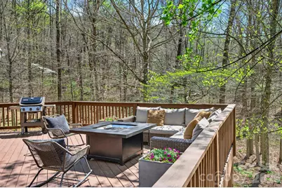 257 Jones Cove Road, Asheville, NC 28805 - Photo 20