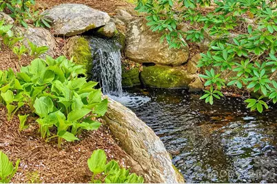 257 Jones Cove Road, Asheville, NC 28805 - Photo 44