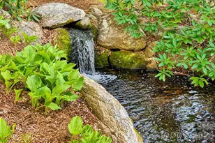 257 Jones Cove Rd, Asheville, NC 28805 - Photo 44