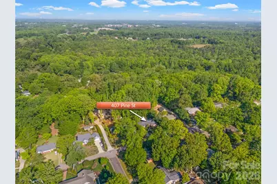 407 Pine Street, Fort Mill, SC 29715 - Photo 44