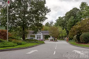 508 Cobblestone Ln N, Flat Rock, NC 28731 - Photo 36