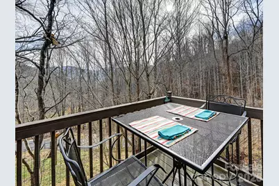 90 Davidson Gap Road, Leicester, NC 28748 - Photo 16