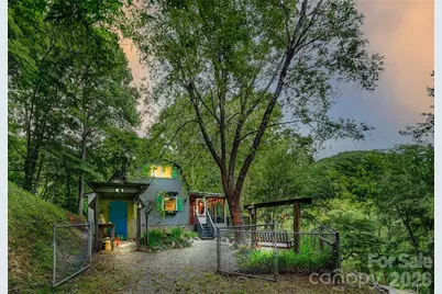 90 Davidson Gap Road, Leicester, NC 28748 - Photo 1