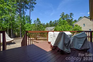 16402 Doves Canyon Ln, Charlotte, NC 28278 - Photo 40