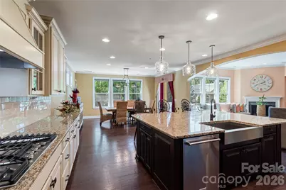 16402 Doves Canyon Lane, Charlotte, NC 28278 - Photo 10