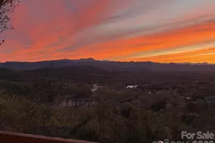 76 Distant View Dr, Asheville, NC 28803 - Photo 46