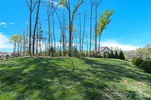 1414 Cherry Laurel Dr, Waxhaw, NC 28173 - Photo 44