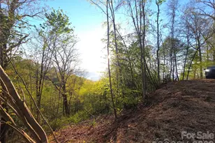 3355 Utah Mountain Rd, Waynesville, NC 28785 - Photo 1