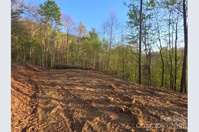 3355 Utah Mountain Road #3-F, Waynesville, NC 28785 - Photo 2