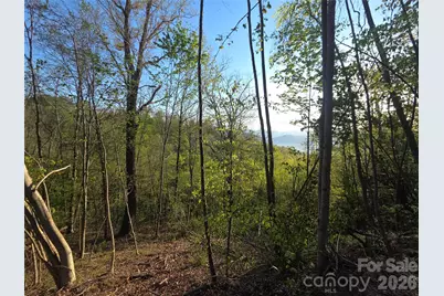 3355 Utah Mountain Road #3-F, Waynesville, NC 28785 - Photo 6