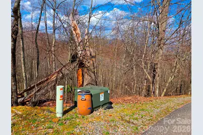 3355 Utah Mountain Road #3-F, Waynesville, NC 28785 - Photo 8