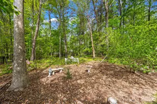 127 Nims Spring Dr, Fort Mill, SC 29715 - Photo 36