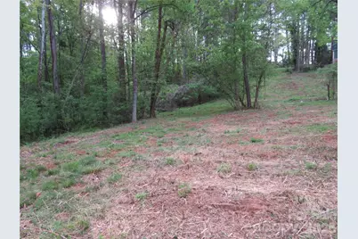 0 McCall Drive, Forest City, NC 28043 - Photo 8