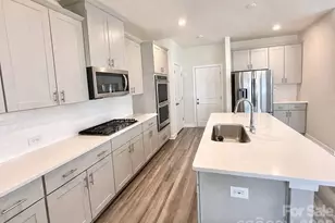 314 Hyssop Ct, Fort Mill, SC 29715 - Photo 10