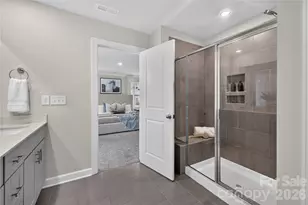 314 Hyssop Ct, Fort Mill, SC 29715 - Photo 22