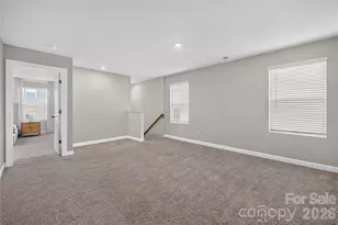 314 Hyssop Ct, Fort Mill, SC 29715 - Photo 26