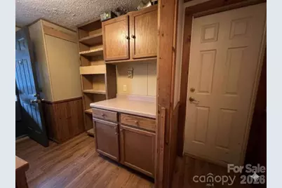 163 Barkley Drive, Mooresboro, NC 28114 - Photo 26