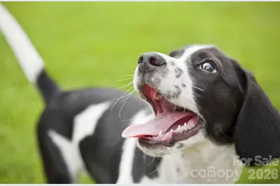 1446 Samuel Street, Charlotte, NC 28206 - Photo 16