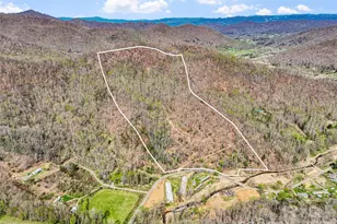 183 Stoney Frk Rd, Barnardsville, NC 28709 - Photo 30