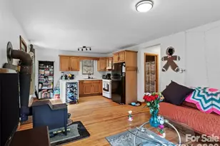 183 Stoney Frk Rd, Barnardsville, NC 28709 - Photo 14