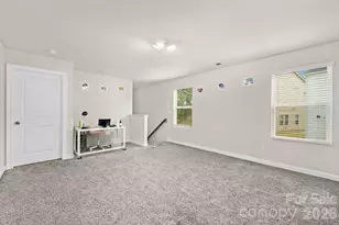 510 Palmarosa St, Fort Mill, SC 29715 - Photo 10