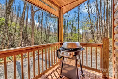 1100 Panther Branch Road, Canton, NC 28716 - Photo 10