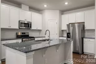15740 Country House St, Charlotte, NC 28273 - Photo 10