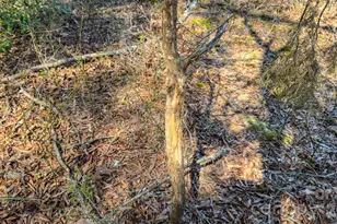 17643 Efird Rd, Albemarle, NC 28001 - Photo 28