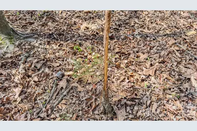 17643 Efird Road, Albemarle, NC 28001 - Photo 22