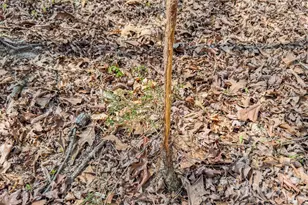 17643 Efird Rd, Albemarle, NC 28001 - Photo 22