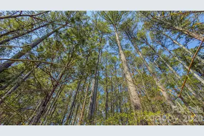 17643 Efird Road, Albemarle, NC 28001 - Photo 16