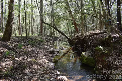 0 Hollis Road, Ellenboro, NC 28040 - Photo 22