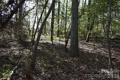 0 Hollis Road, Ellenboro, NC 28040 - Photo 14