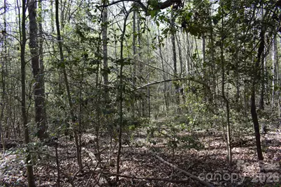 277 Philadelphia Church Road, Ellenboro, NC 28040 - Photo 16